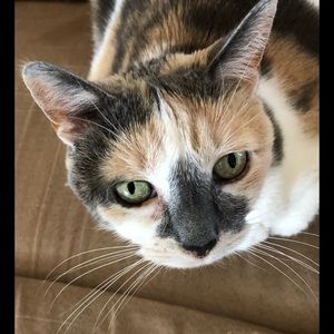 Meet your Posher, Cheryl